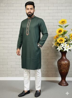 Premium Pakistani Panjabi